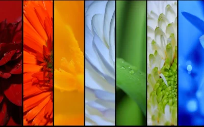 Modern Wallpaper Designs That Elevate Small Spaces